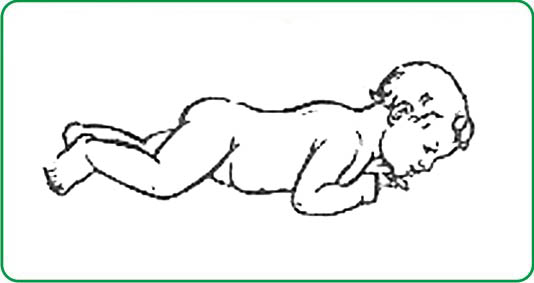 Laying on the stomach