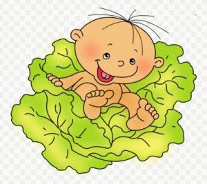 baby development first month of life