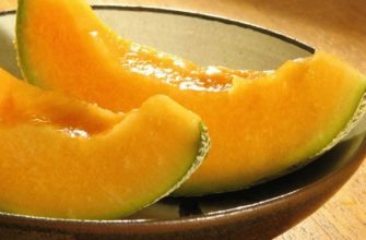 Breastfeeding Melon