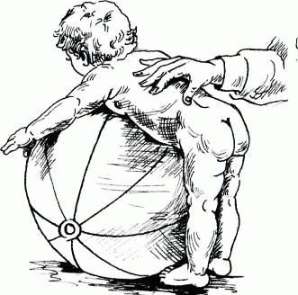 exercises so that the child begins to crawl exercises so that the child begins to crawl