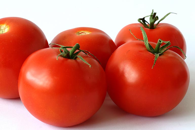 fresh red tomatoes