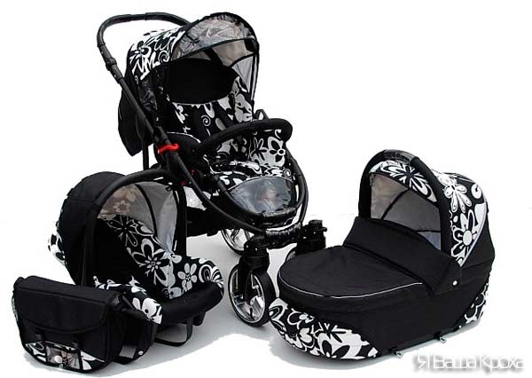 Universal modular stroller 3 in 1