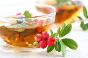 teas for lactation