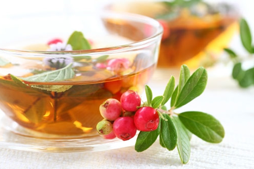 teas for lactation