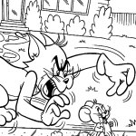 Tom chases the mouse Jerry