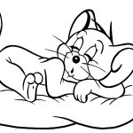 Little mouse jerry sleeping
