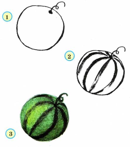 draw a watermelon