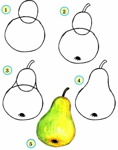 draw a pear in steps