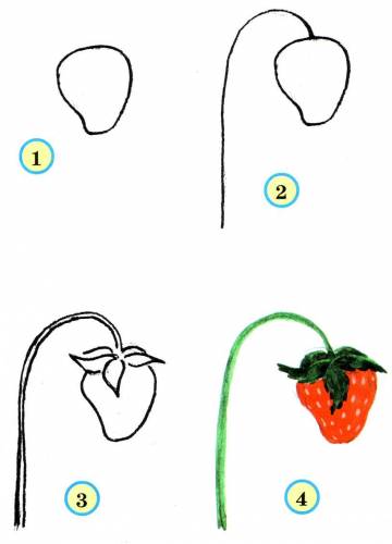 draw strawberries