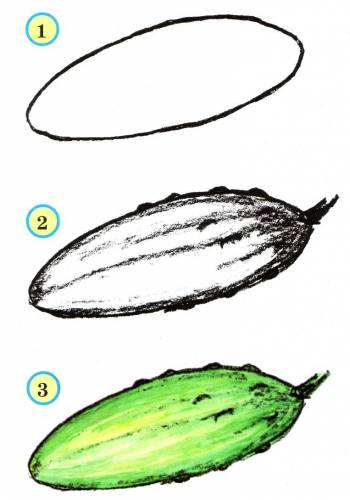draw a cucumber