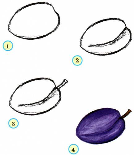 draw a plum