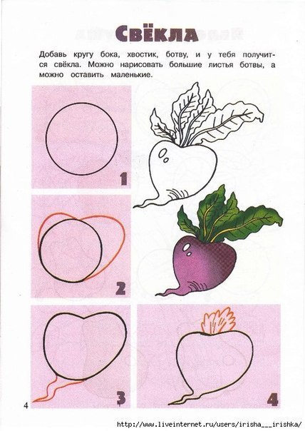 draw beets