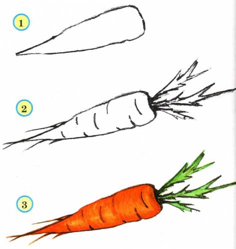 learn to draw carrots