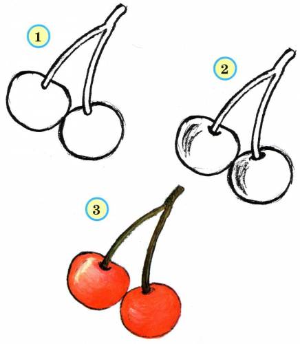 learn to draw cherries
