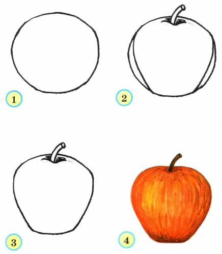 learning to draw an apple