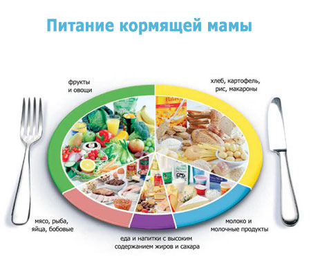 Nutrition of a nursing mother during the period of hepatitis B