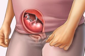 15 weeks pregnant