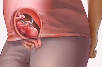 19 week of pregnancy