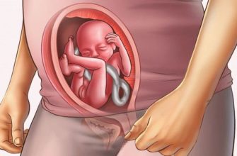 20 week of pregnancy