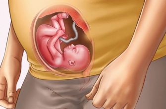 23 weeks pregnant