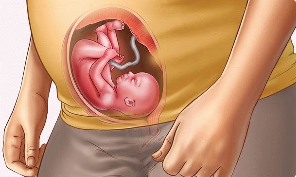 23 weeks pregnant
