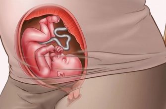 24 week of pregnancy