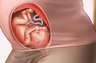 25 week of pregnancy