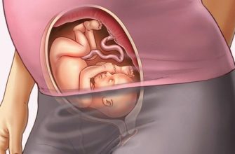 Weekly Pregnancy Calendar - Week 26