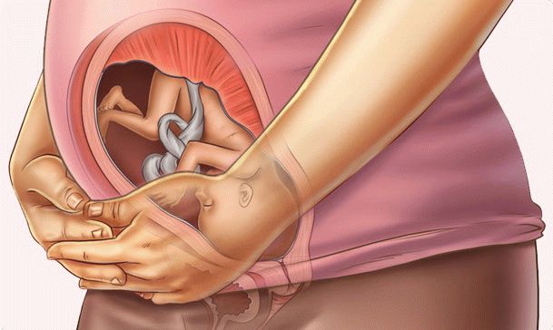 27 week of pregnancy
