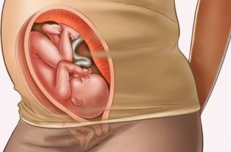 30 week of pregnancy