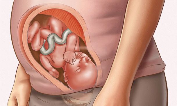 32 weeks pregnant