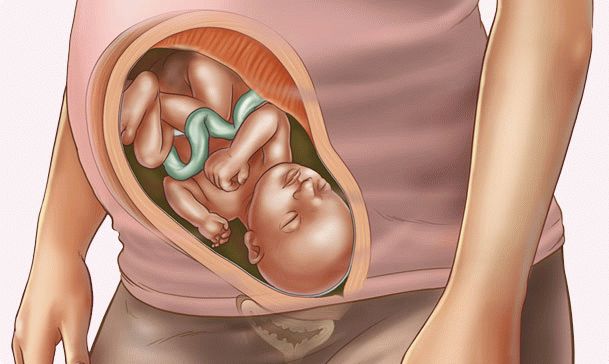 33 weeks pregnant