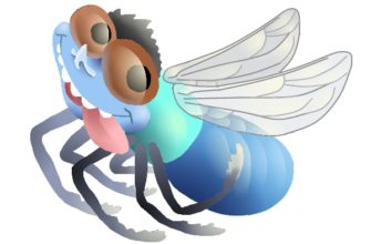 drawing of a fly