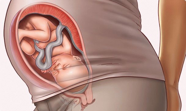 34 week of pregnancy