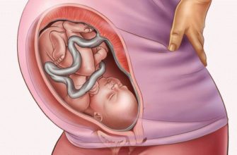 35 week of pregnancy