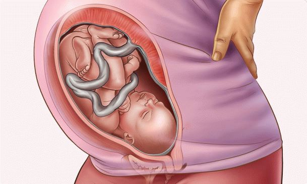 35 week of pregnancy