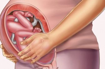 36 week of pregnancy
