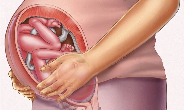 36 week of pregnancy
