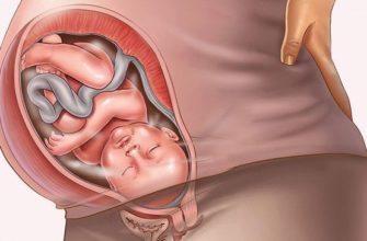 40 week of pregnancy