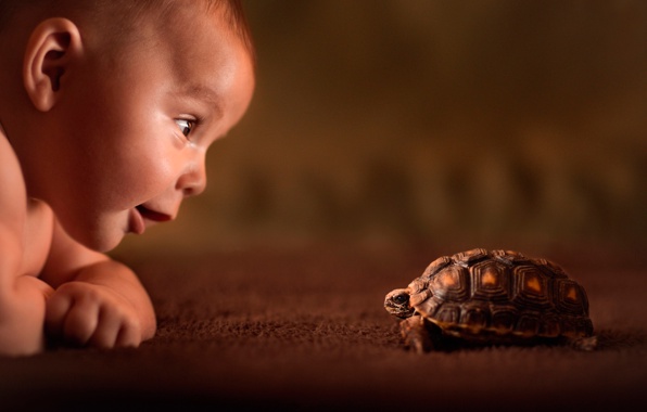 bug and baby