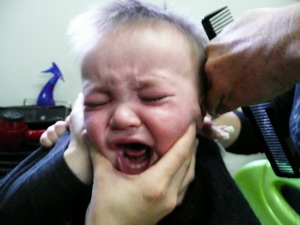 the baby is trimmed in 1 year
