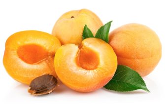 apricots