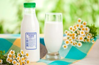 kefir