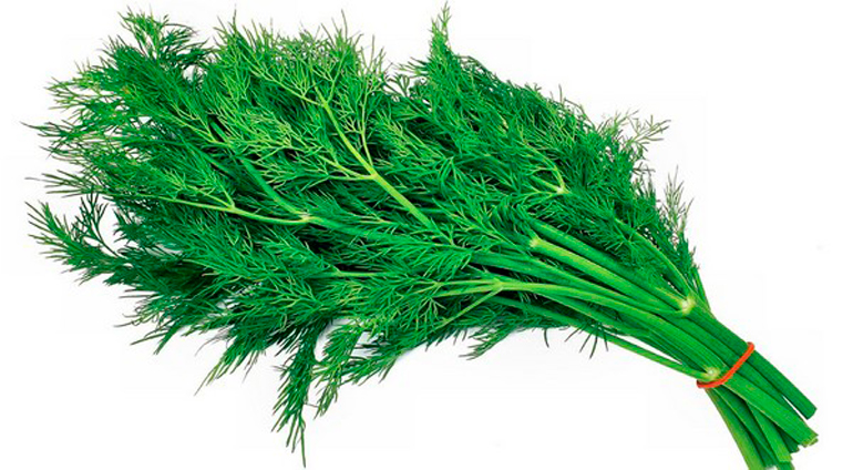 dill