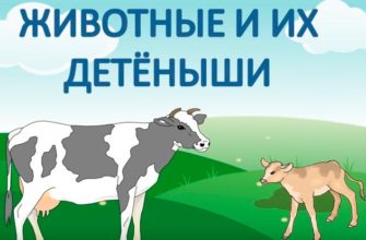 As they say, animals