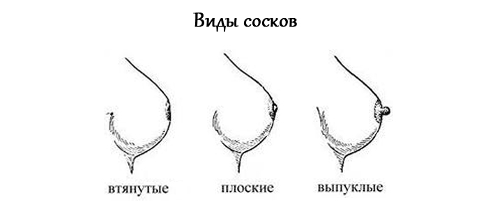Types of Nipples