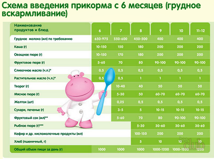 feeding scheme from 6 months breastfeeding