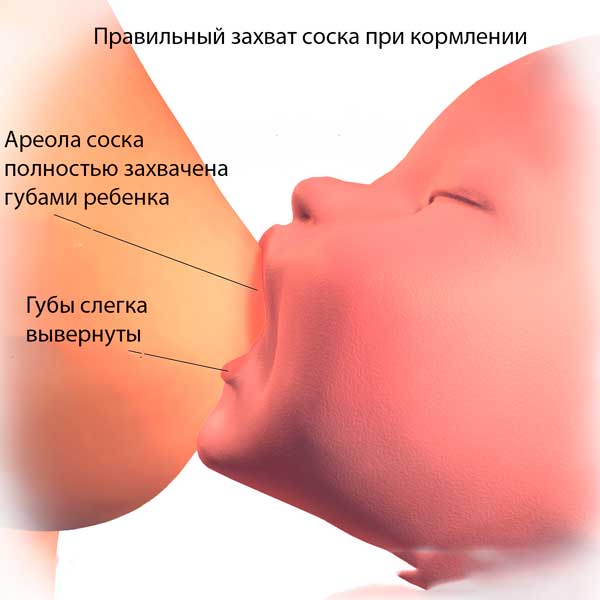 proper nipple grip during feeding