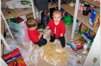 house cleaning