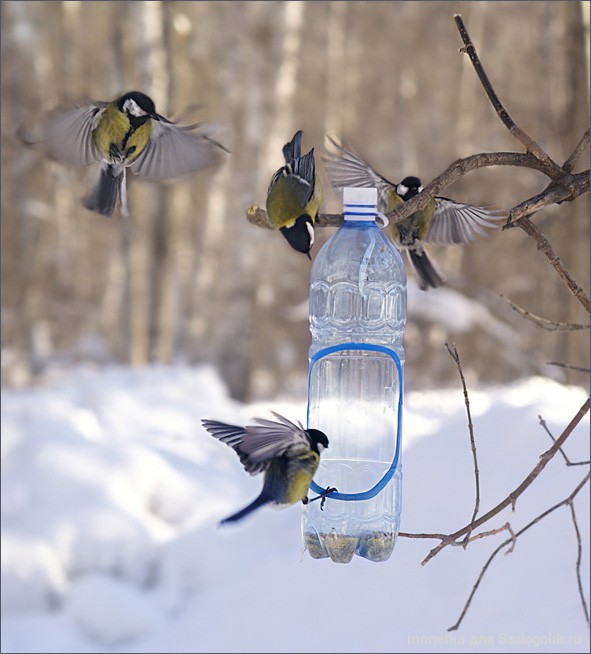 bird feeders